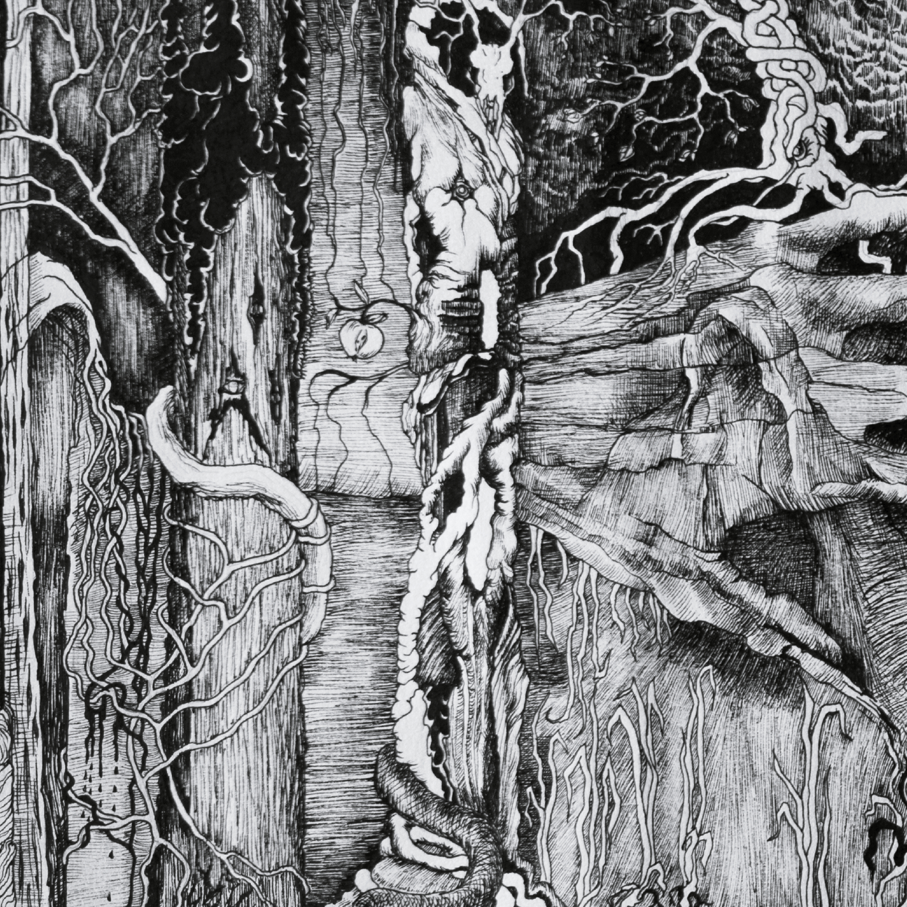 TR053CD_Thou_Shell_Of_Death_-_Witchery Thou Shell Of Death - Witchery CD Hardcover A5