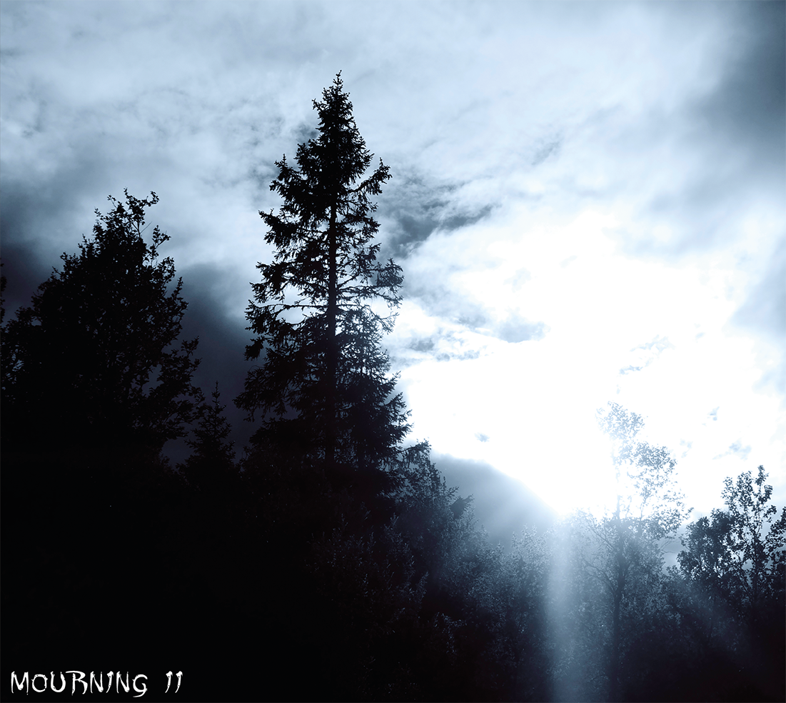 TR048CD_Lost_In_Desolation_-_Mourning_II_Covernju6rkWWuFIiV Lost In Desolation - Mourning II CD Digipack