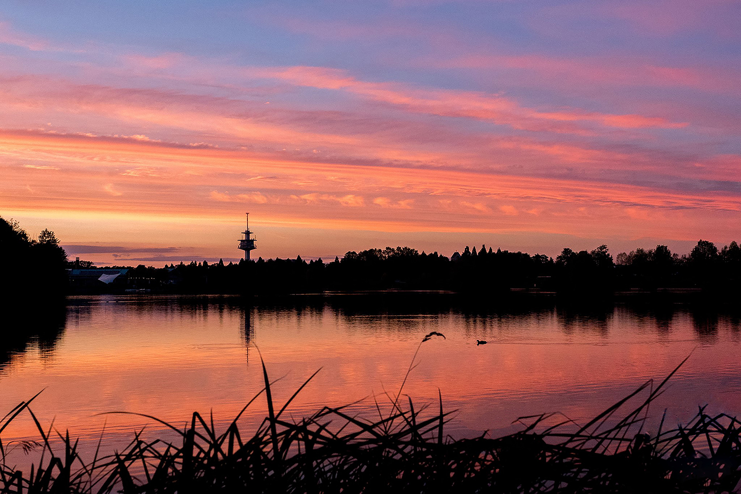 Sonnenuntergang-klein