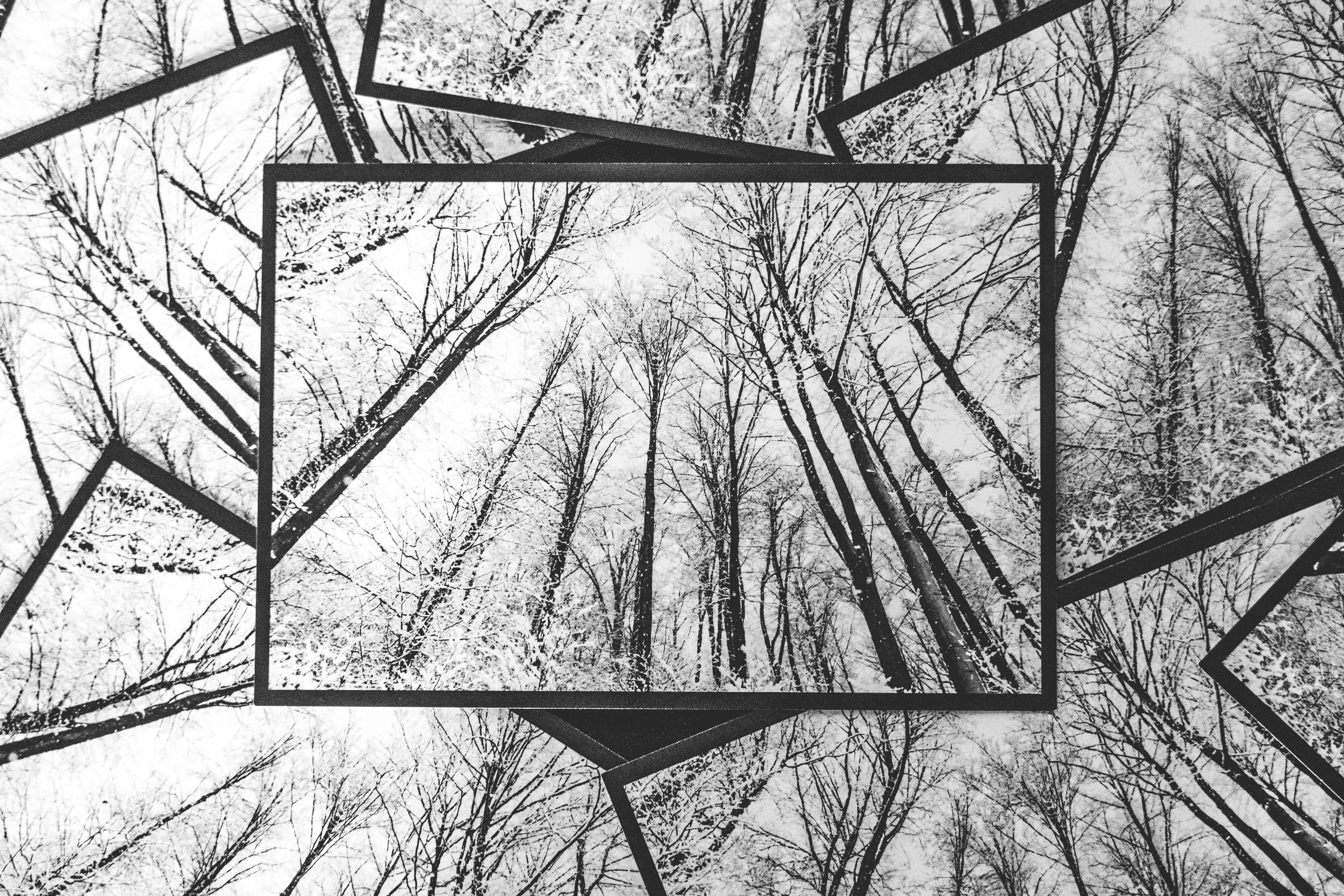 Winterwald