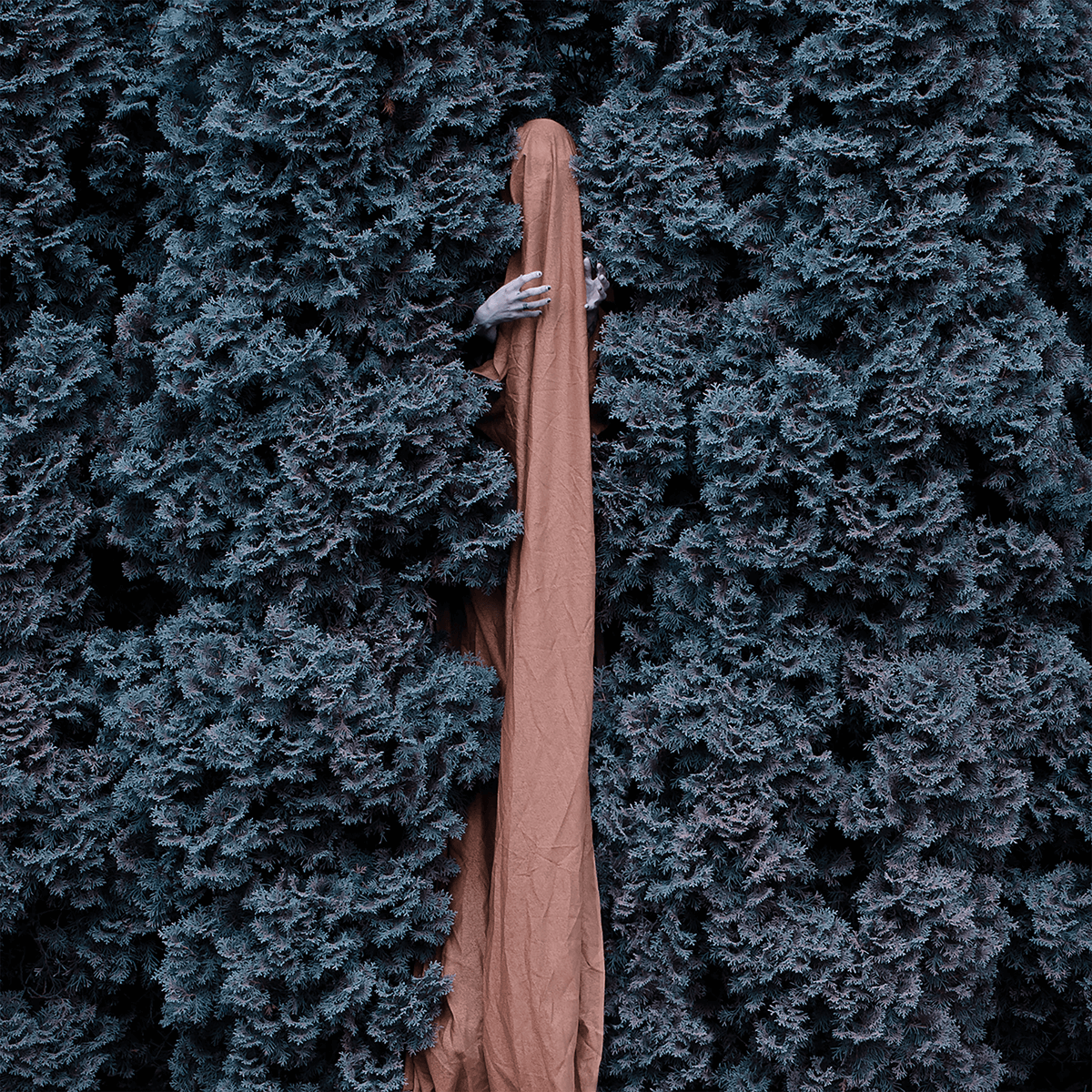 TR051CD_Vagrond_-_Ruin_Cover Vagrond - Ruin CD Digipack