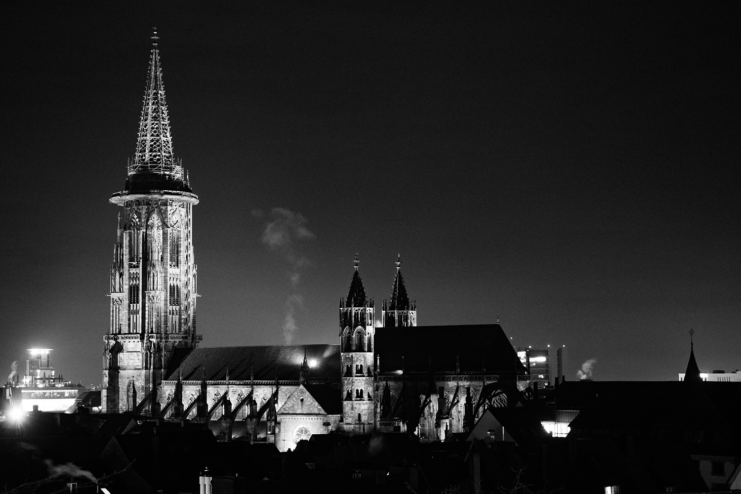 Freiburger-Munster-bei-Nacht-klein