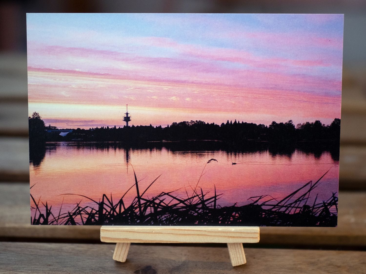 Ansichtskarte Abenddämmerung am Flückiger See/Seepark Motiv