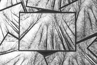 Winterwald